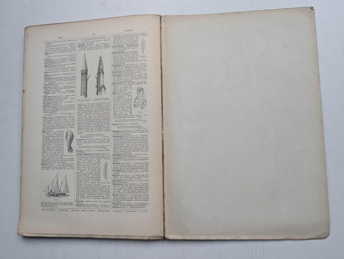 Ogilvie's Imperial Dictionary of The English Language Div. 11 - 1880's Approx