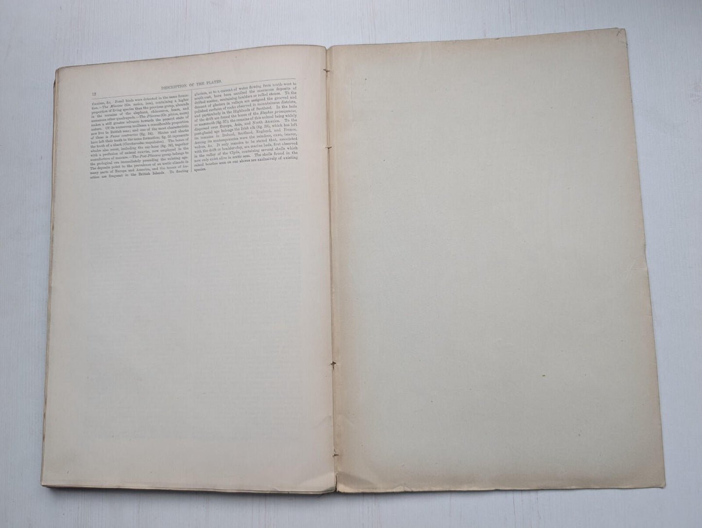 Ogilvie's Imperial Dictionary of The English Language Div. 13 - 1880's Approx
