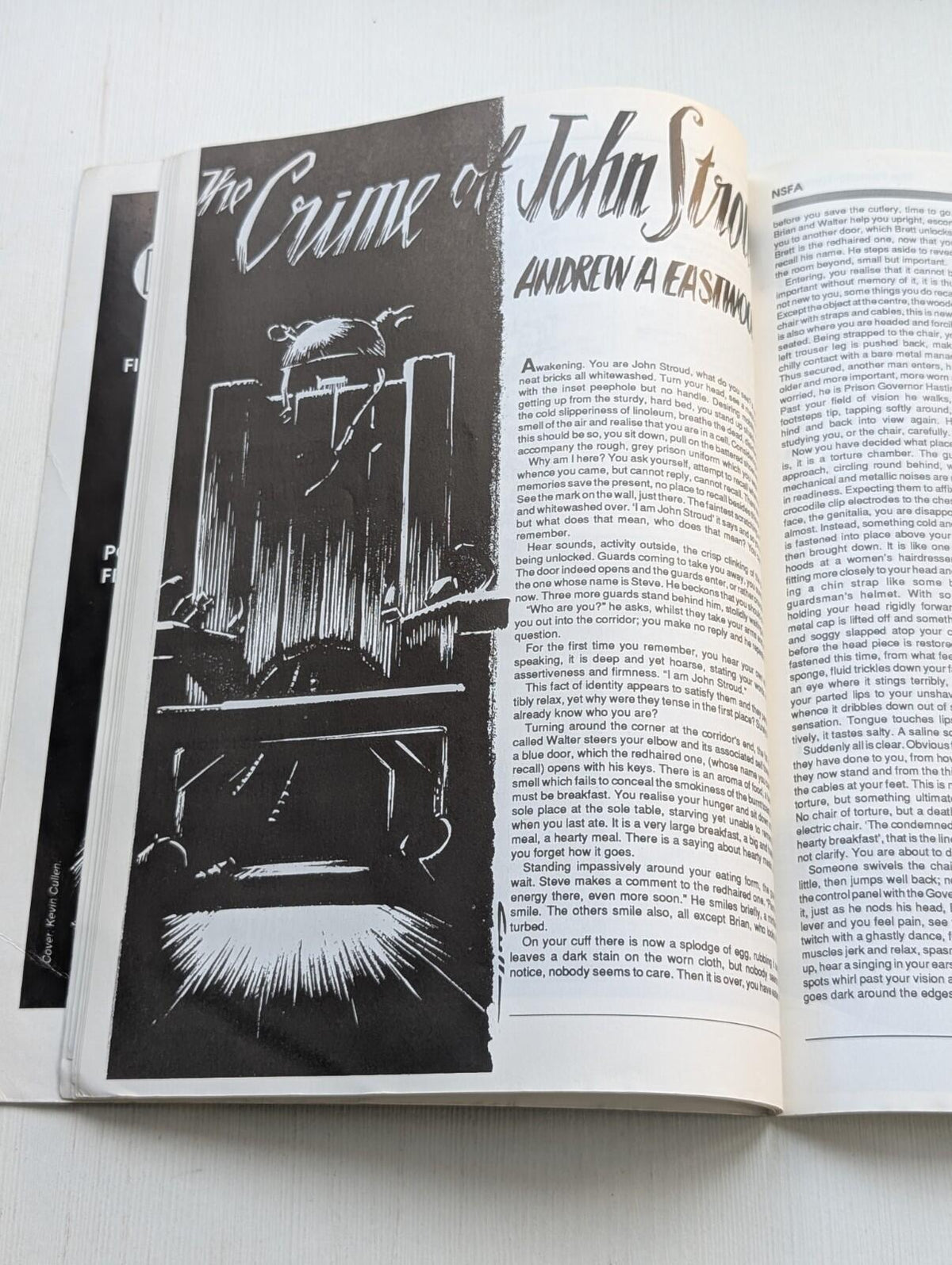 The Pseudo-Nymph: An Anthology of NSFA Member Magazines - 1991