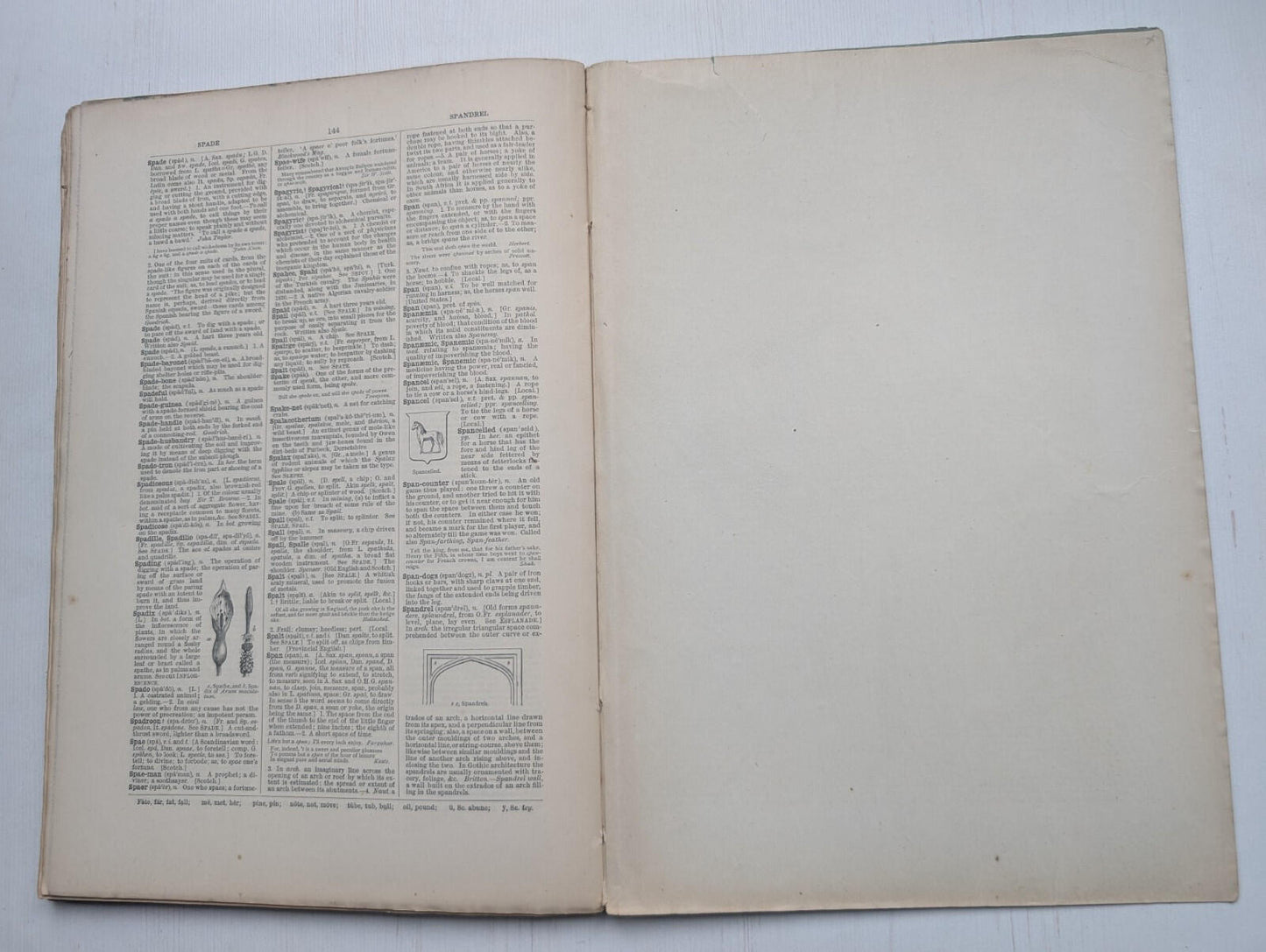 Ogilvie's Imperial Dictionary of The English Language Div. 14 - 1880's Approx