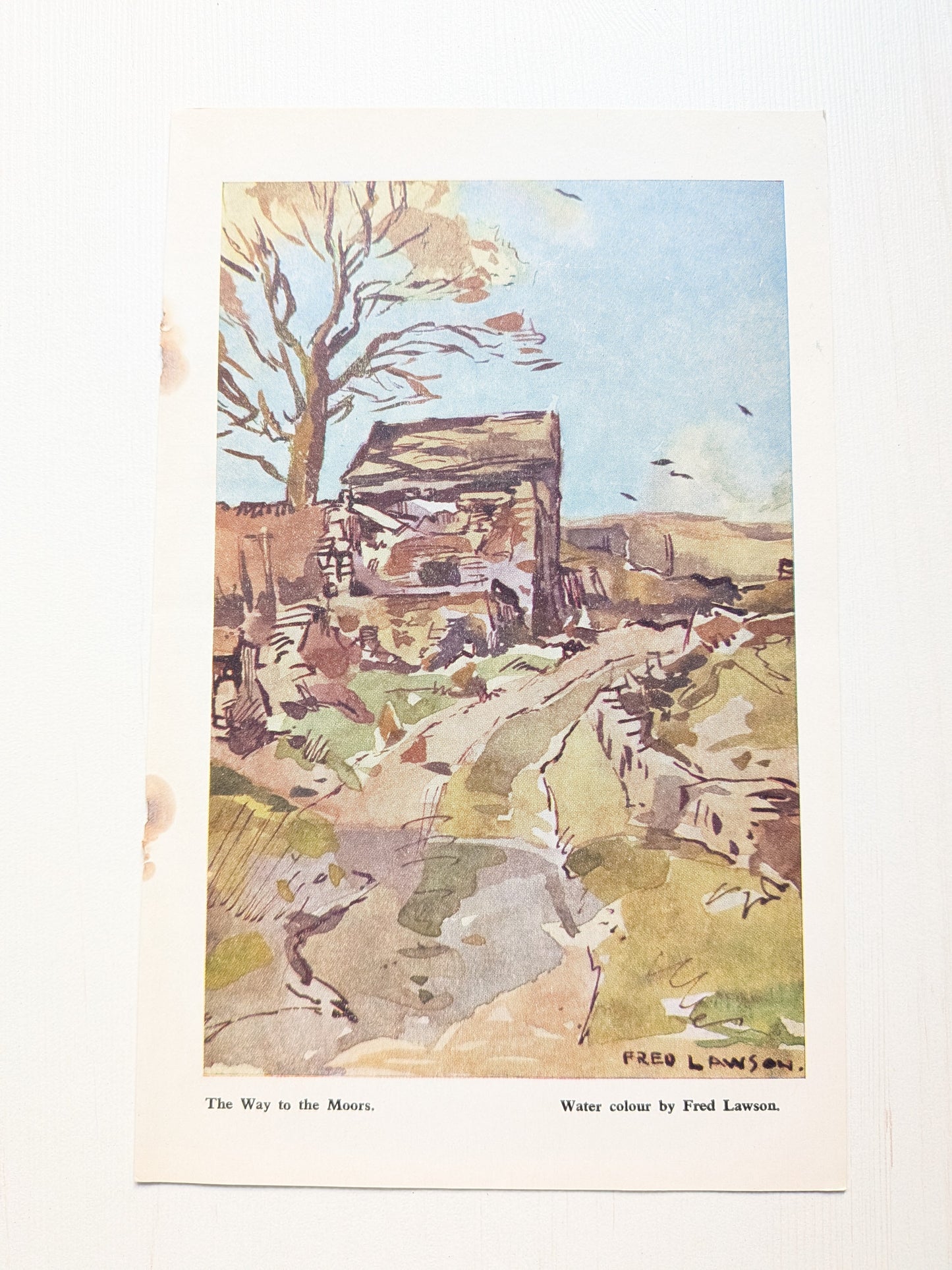 The Dalesman - October 1963 - Monthly Yorkshire Magazine - Dalesman Publishing