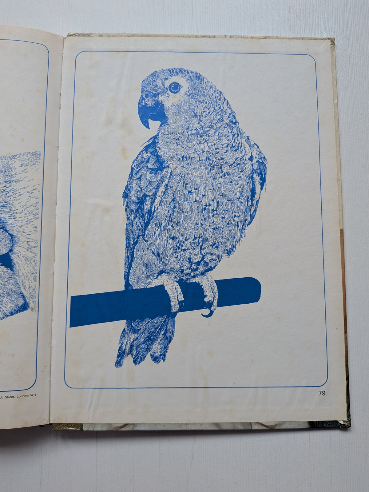 Blue Peter Fifth Book - 1968 - BBC Books