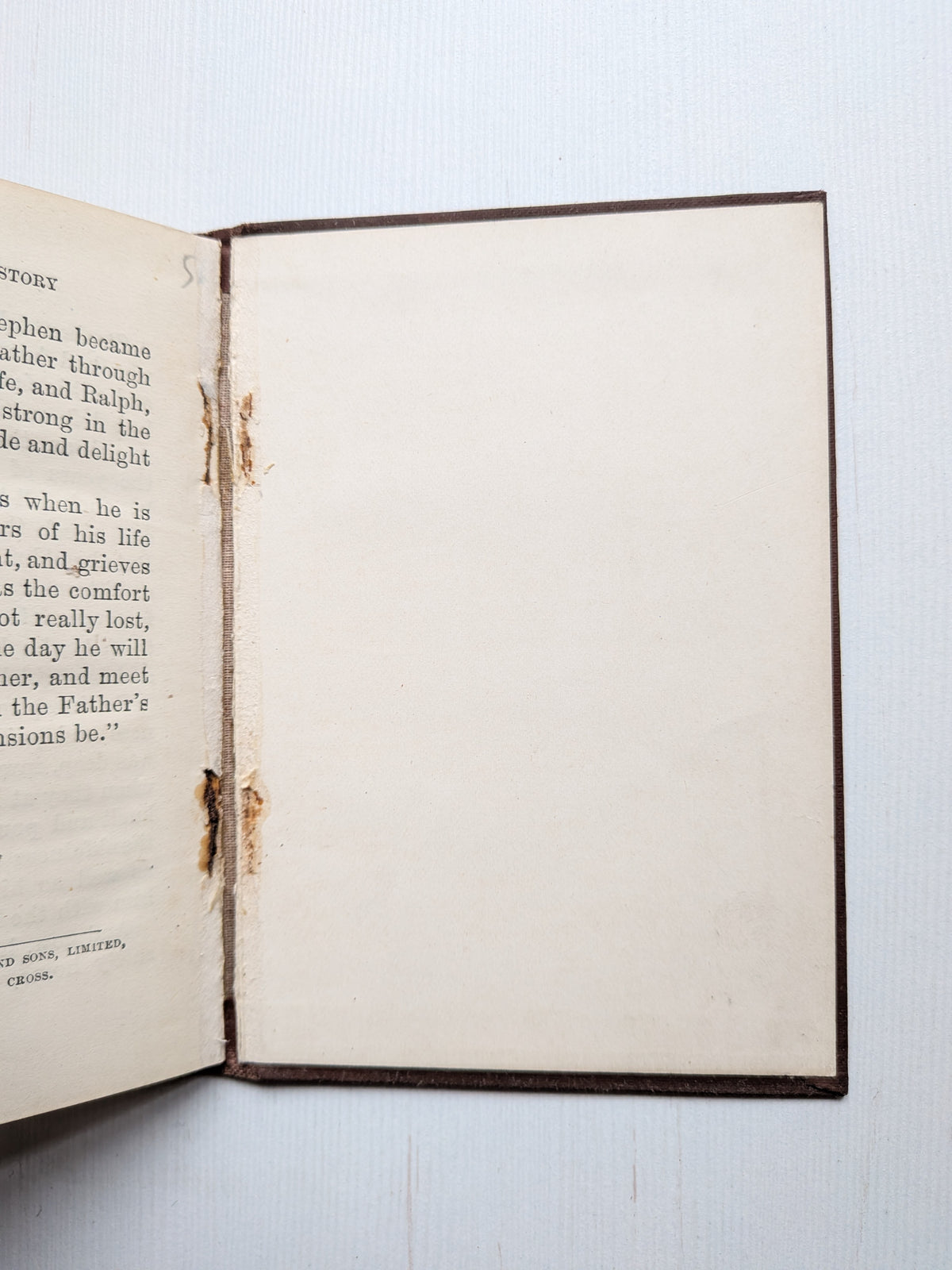 Children Of The City by Lizzie Kings - The Religious Tract Society - 1910s Approx