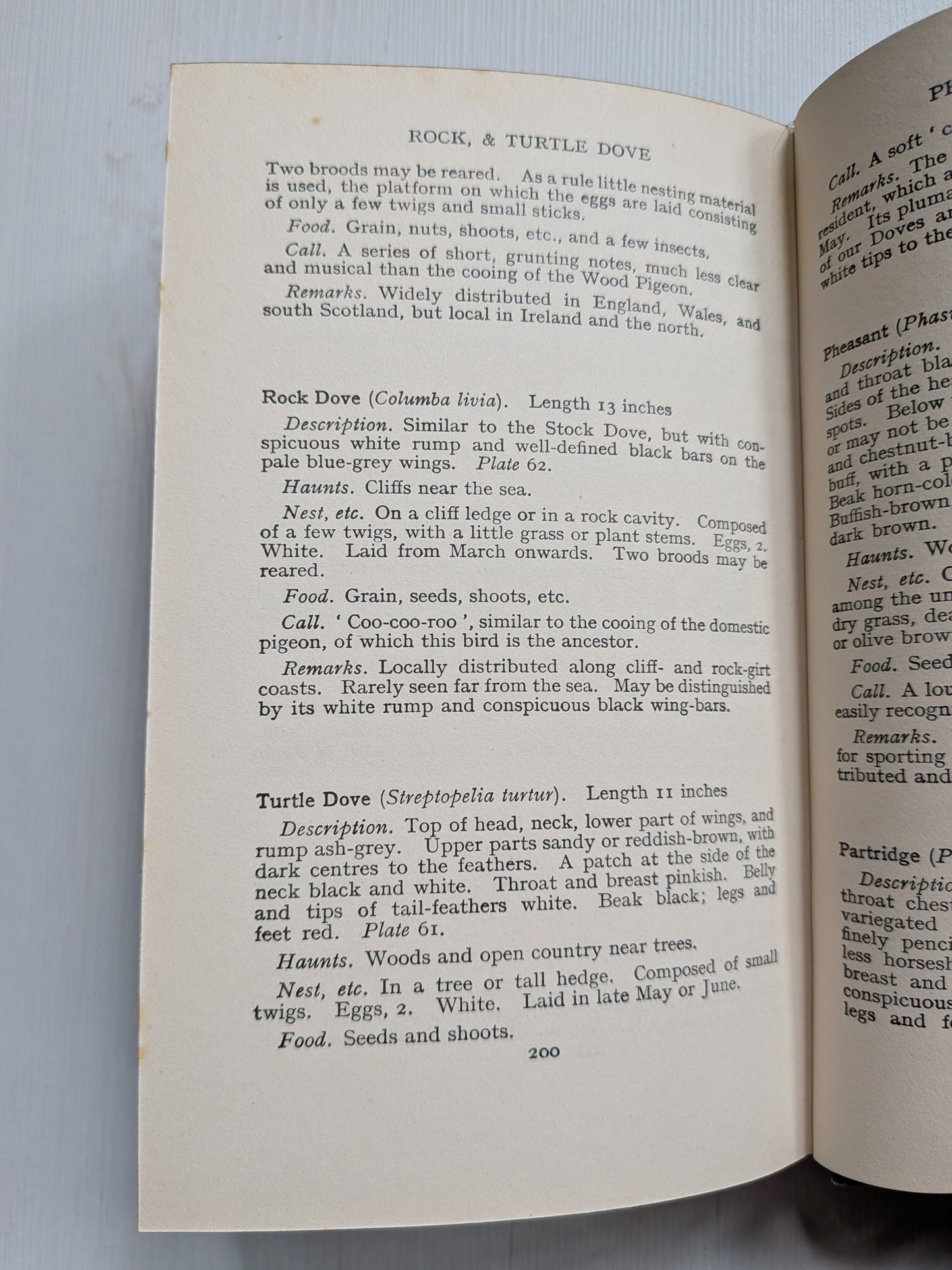 Name This Bird by Eric Fitch Daglish - 1950 - J. M. Dent & Sons Ltd