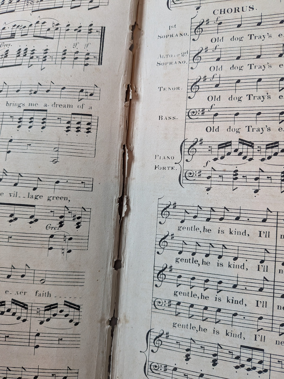 Antique Victorian Sheet Music - "Old Dog Tray" - 1850s - No. 745 Musical Bouquet