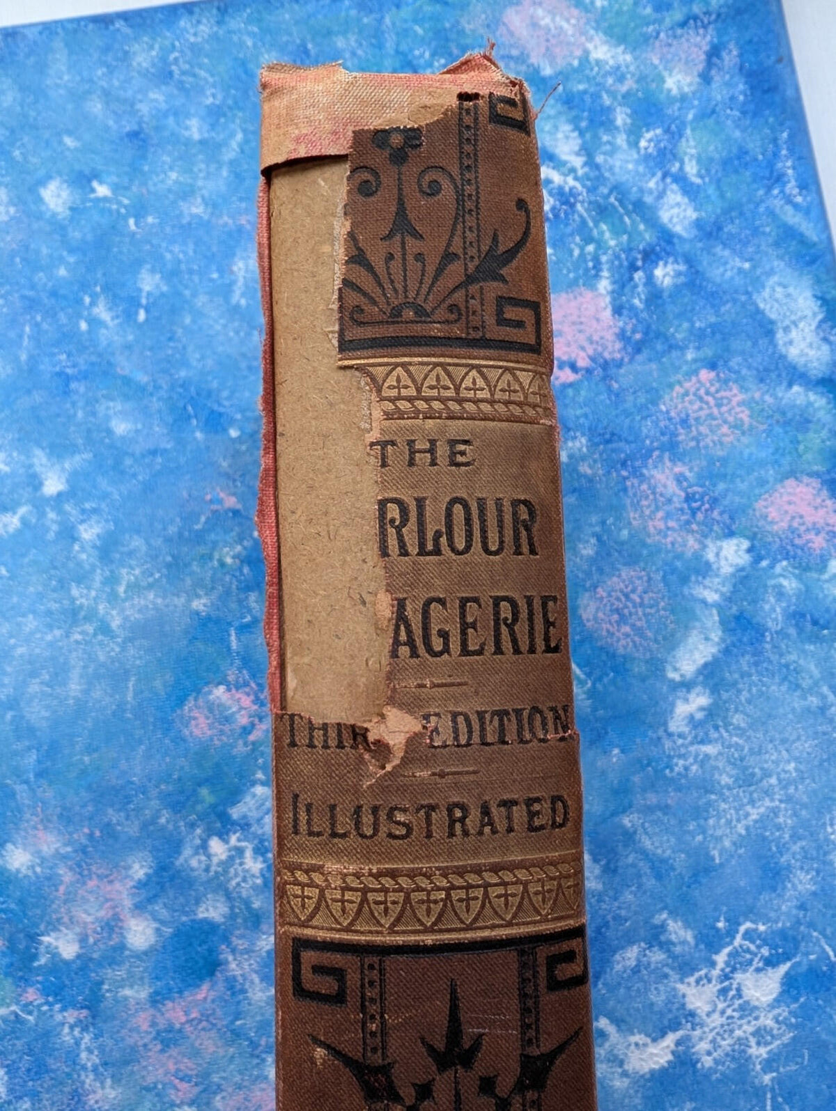 The Parlour Menagerie - Descriptive & Anecdotal 3rd Edition - 1881, John Hogg
