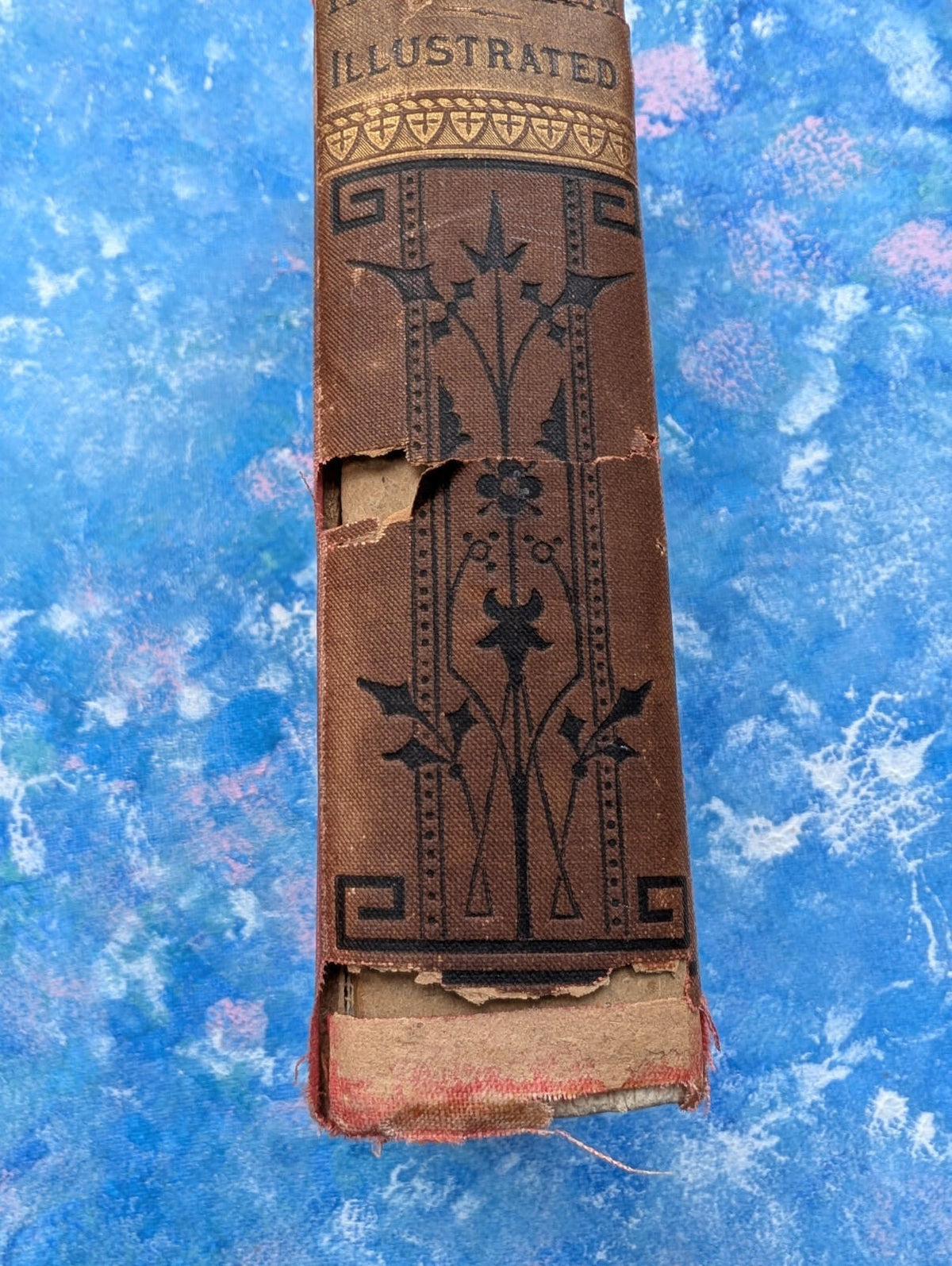 The Parlour Menagerie - Descriptive & Anecdotal 3rd Edition - 1881, John Hogg