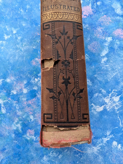 The Parlour Menagerie - Descriptive & Anecdotal 3rd Edition - 1881, John Hogg