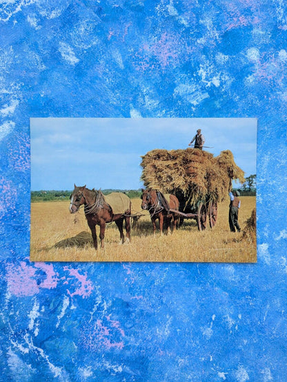 Vintage Cart Horse Postcard 6-09-58-17 - J. Salmon Ltd