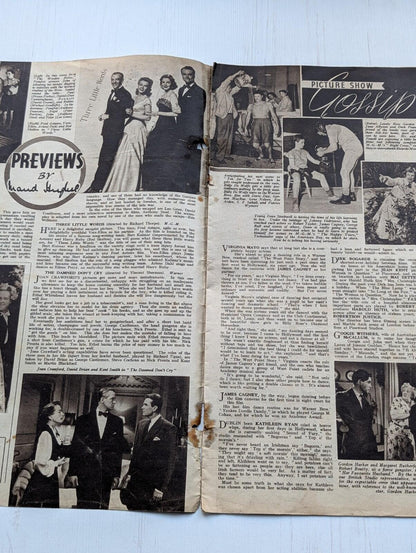 Picture Show Vol. 55 No. 1430 August 26th, 1950 - Marlene Dietrich/Richard Todd