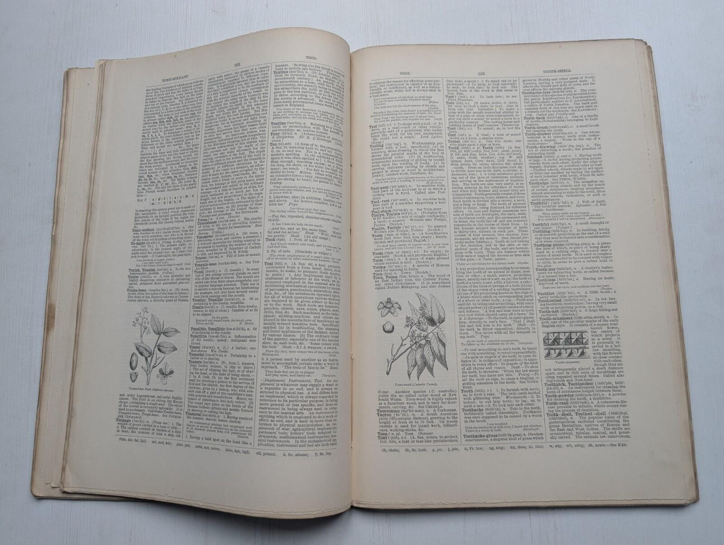 Ogilvie's Imperial Dictionary of The English Language Div. 16 - 1880's Approx