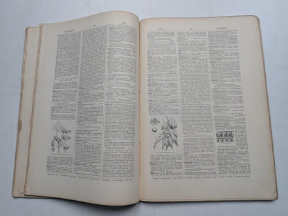 Ogilvie's Imperial Dictionary of The English Language Div. 16 - 1880's Approx