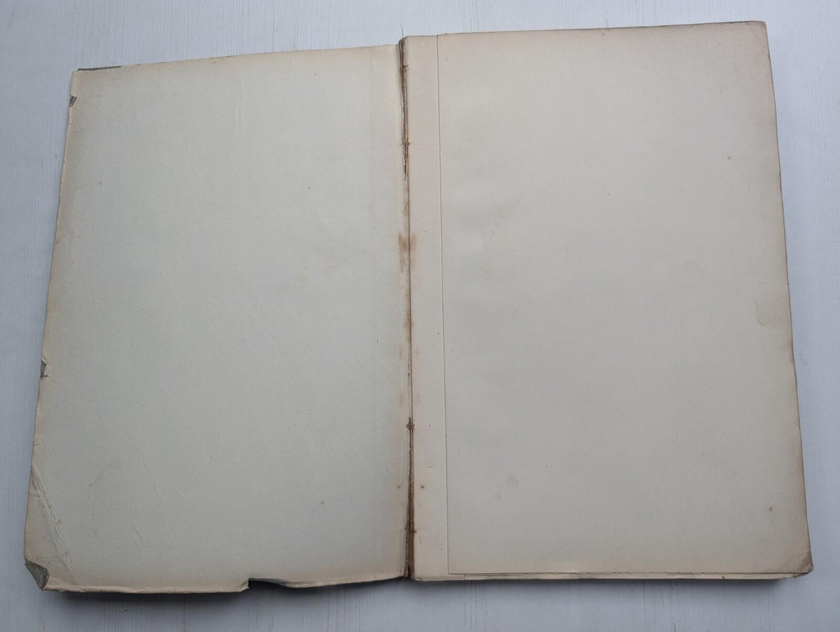 Ogilvie's Imperial Dictionary of The English Language Div. 5 - 1880's Approx