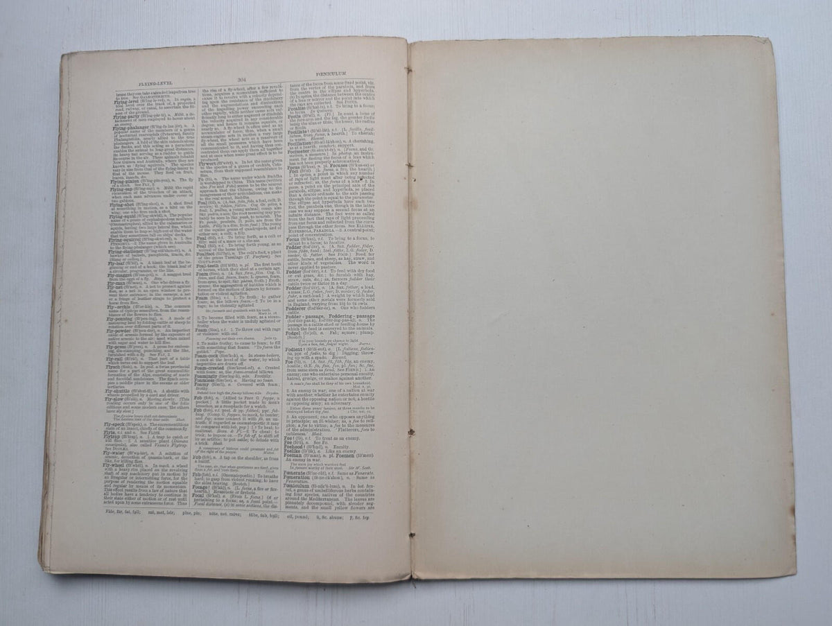 Ogilvie's Imperial Dictionary of The English Language Div. 6 - 1880's Approx