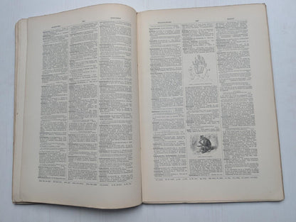 Ogilvie's Imperial Dictionary of The English Language Div. 8 - 1880's Approx