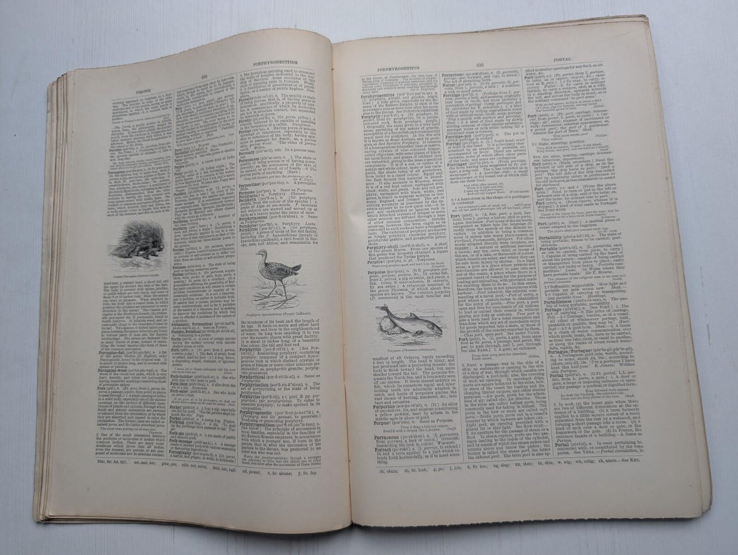 Ogilvie's Imperial Dictionary of The English Language Div. 12 - 1880's Approx