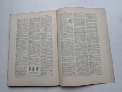Ogilvie's Imperial Dictionary of The English Language Div. 8 - 1880's Approx