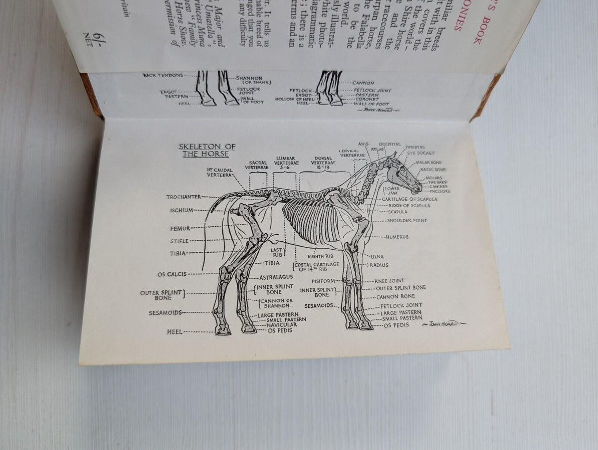 The Observer's Book of Horses & Ponies by R.S. Summerhays - 1968