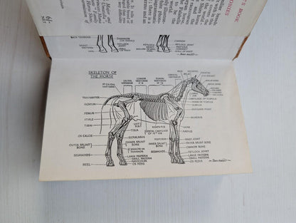 The Observer's Book of Horses & Ponies by R.S. Summerhays - 1968