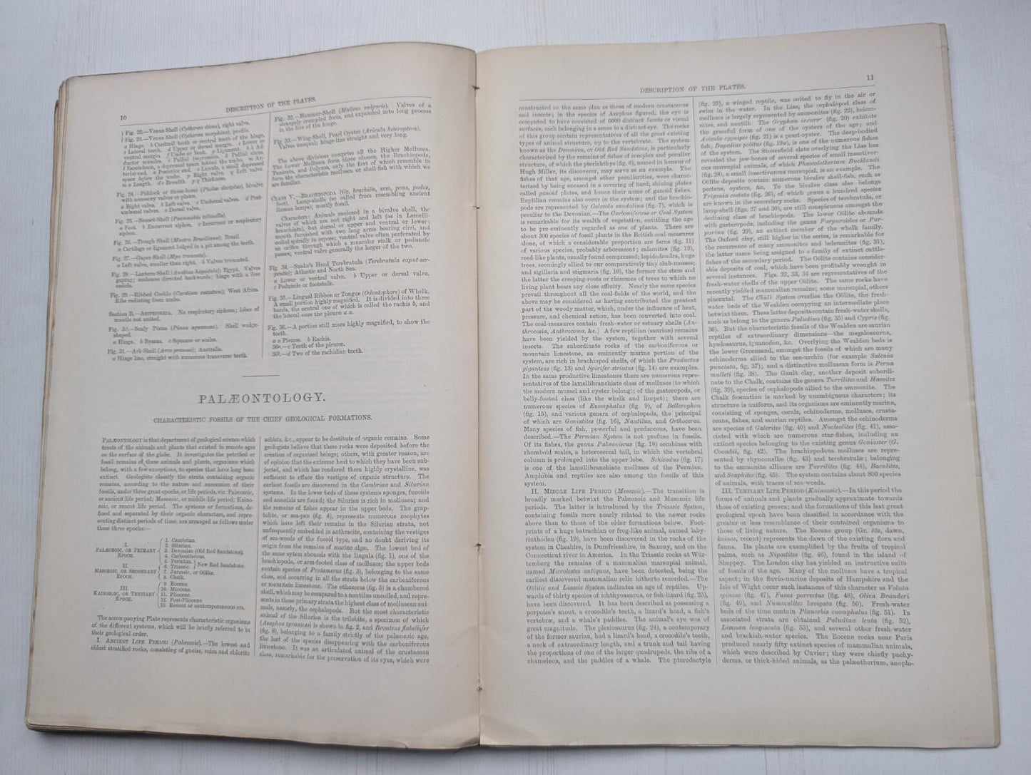 Ogilvie's Imperial Dictionary of The English Language Div. 13 - 1880's Approx
