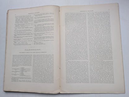 Ogilvie's Imperial Dictionary of The English Language Div. 13 - 1880's Approx