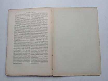 Ogilvie's Imperial Dictionary of The English Language Div. 4 - 1880's Approx