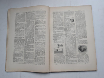Ogilvie's Imperial Dictionary of The English Language Div. 2 - 1880's Approx