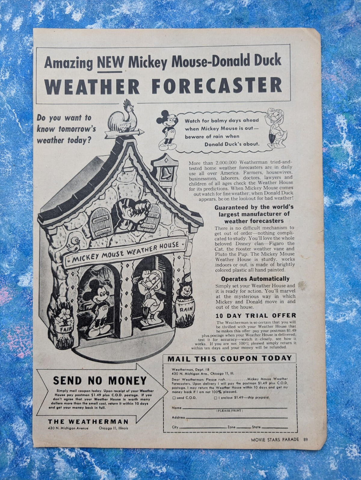 Vintage Mickey Mouse/Donald Duck Weather Forecaster 1950's Advert - See Details