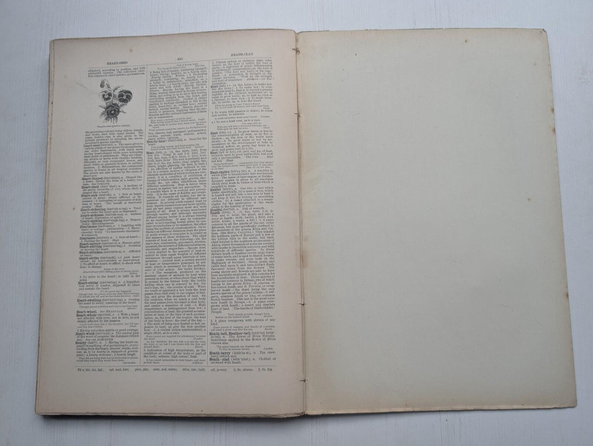 Ogilvie's Imperial Dictionary of The English Language Div. 7 - 1880's Approx
