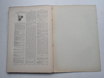 Ogilvie's Imperial Dictionary of The English Language Div. 7 - 1880's Approx