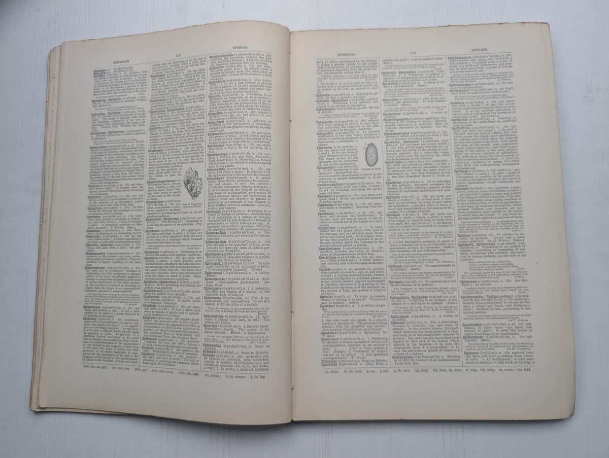 Ogilvie's Imperial Dictionary of The English Language Div. 6 - 1880's Approx