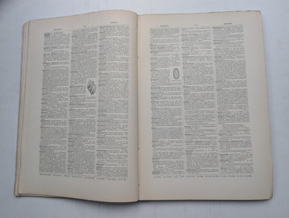 Ogilvie's Imperial Dictionary of The English Language Div. 6 - 1880's Approx