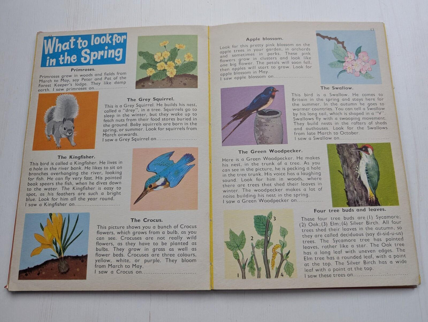 My Wonderland Book - Timothy Beaumont - 1960s Approx