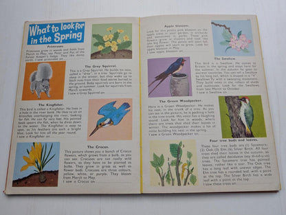 My Wonderland Book - Timothy Beaumont - 1960s Approx