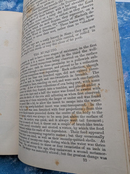The Parlour Menagerie - Descriptive & Anecdotal 3rd Edition - 1881, John Hogg