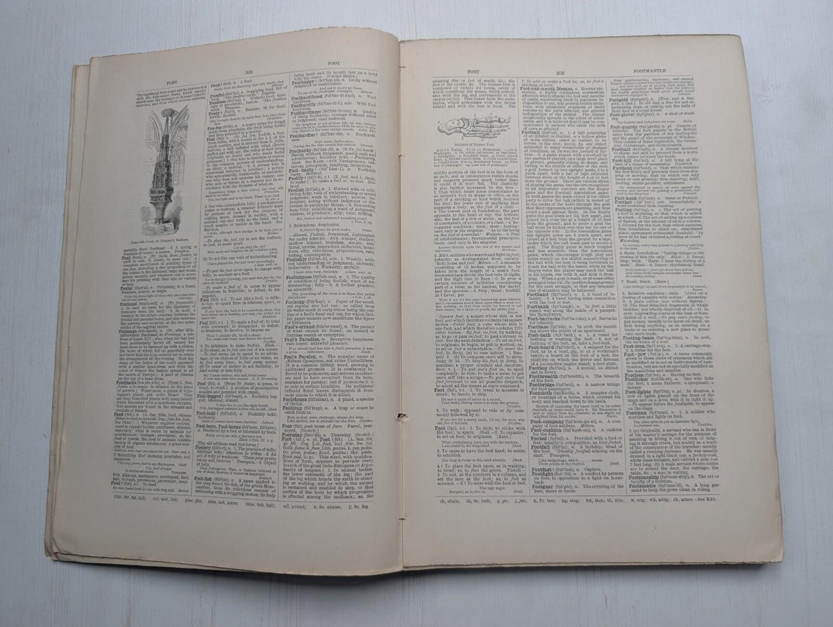 Ogilvie's Imperial Dictionary of The English Language Div. 7 - 1880's Approx