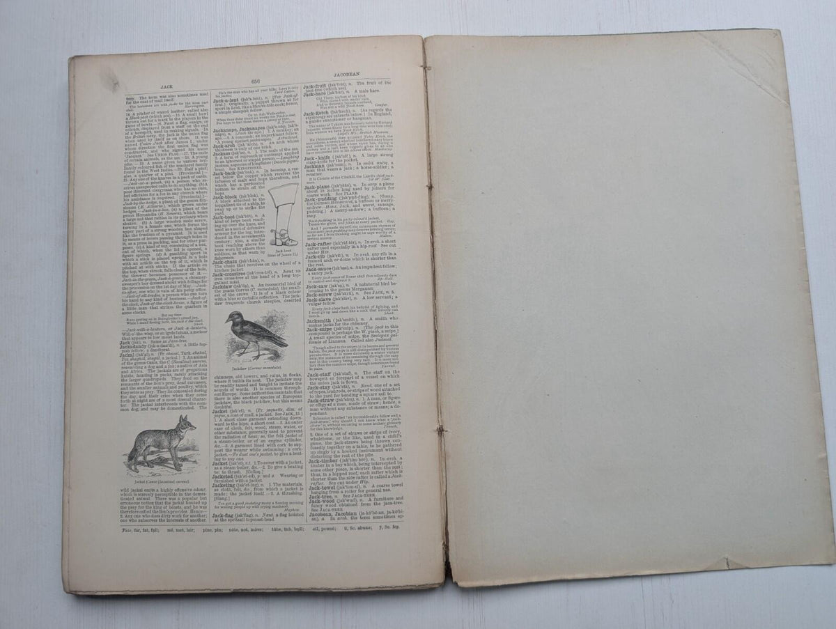 Ogilvie's Imperial Dictionary of The English Language Div. 8 - 1880's Approx