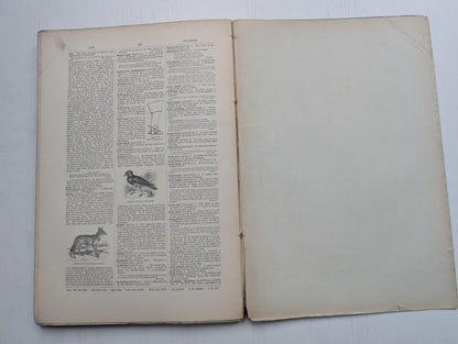 Ogilvie's Imperial Dictionary of The English Language Div. 8 - 1880's Approx