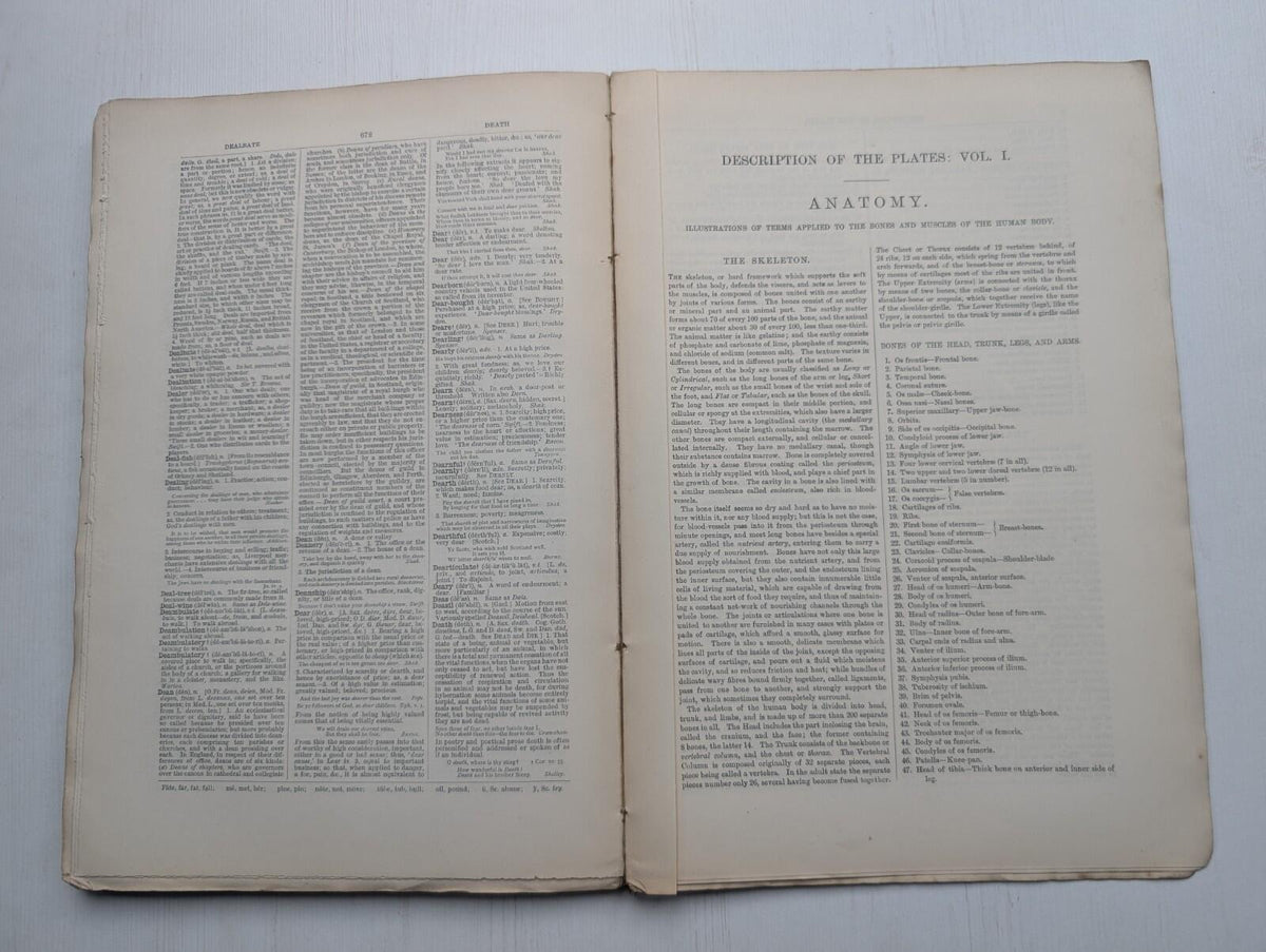 Ogilvie's Imperial Dictionary of The English Language Div. 4 - 1880's Approx