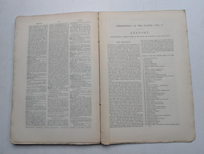 Ogilvie's Imperial Dictionary of The English Language Div. 4 - 1880's Approx