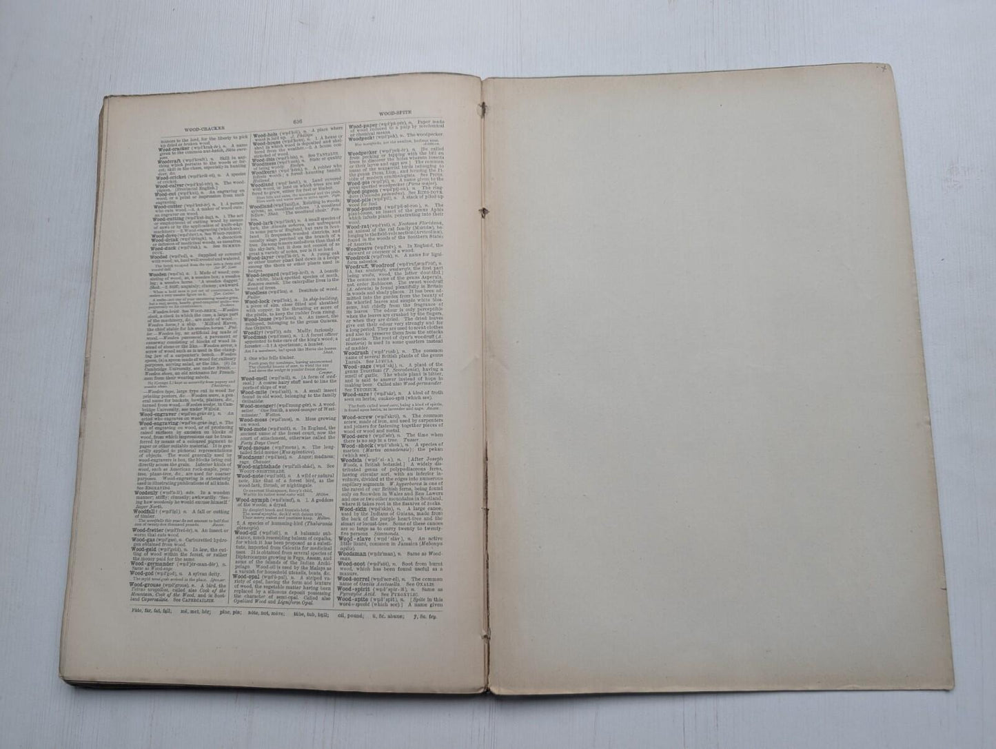 Ogilvie's Imperial Dictionary of The English Language Div. 17 - 1880's Approx