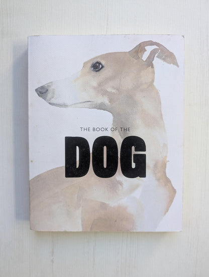 The Book of The Dog by Angus Hyland and Kendra WIlson - 2016 - Laurence King