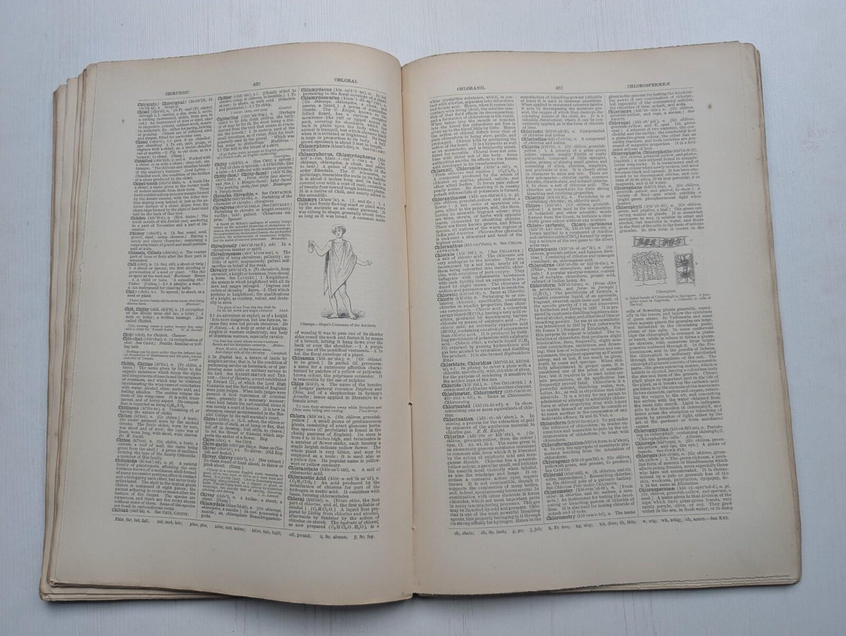 Ogilvie's Imperial Dictionary of The English Language Div. 3 - 1880's Approx