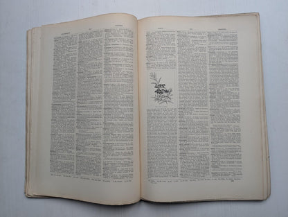 Ogilvie's Imperial Dictionary of The English Language Div. 11 - 1880's Approx