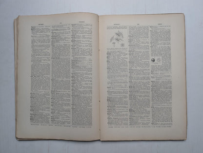 Ogilvie's Imperial Dictionary of The English Language Div. 2 - 1880's Approx
