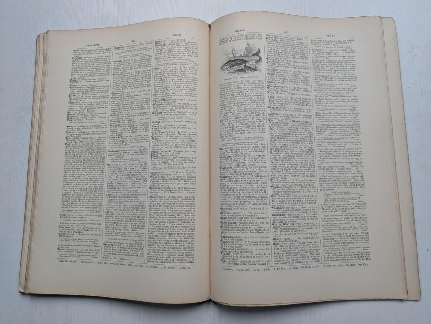 Ogilvie's Imperial Dictionary of The English Language Div. 17 - 1880's Approx