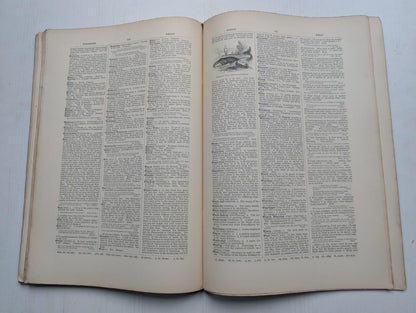 Ogilvie's Imperial Dictionary of The English Language Div. 17 - 1880's Approx