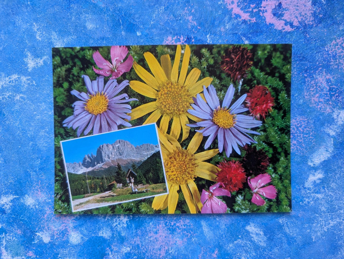 Vintage Austrian Postcard - Alpenflora - Schones Oster Reich