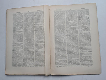 Ogilvie's Imperial Dictionary of The English Language Div. 11 - 1880's Approx