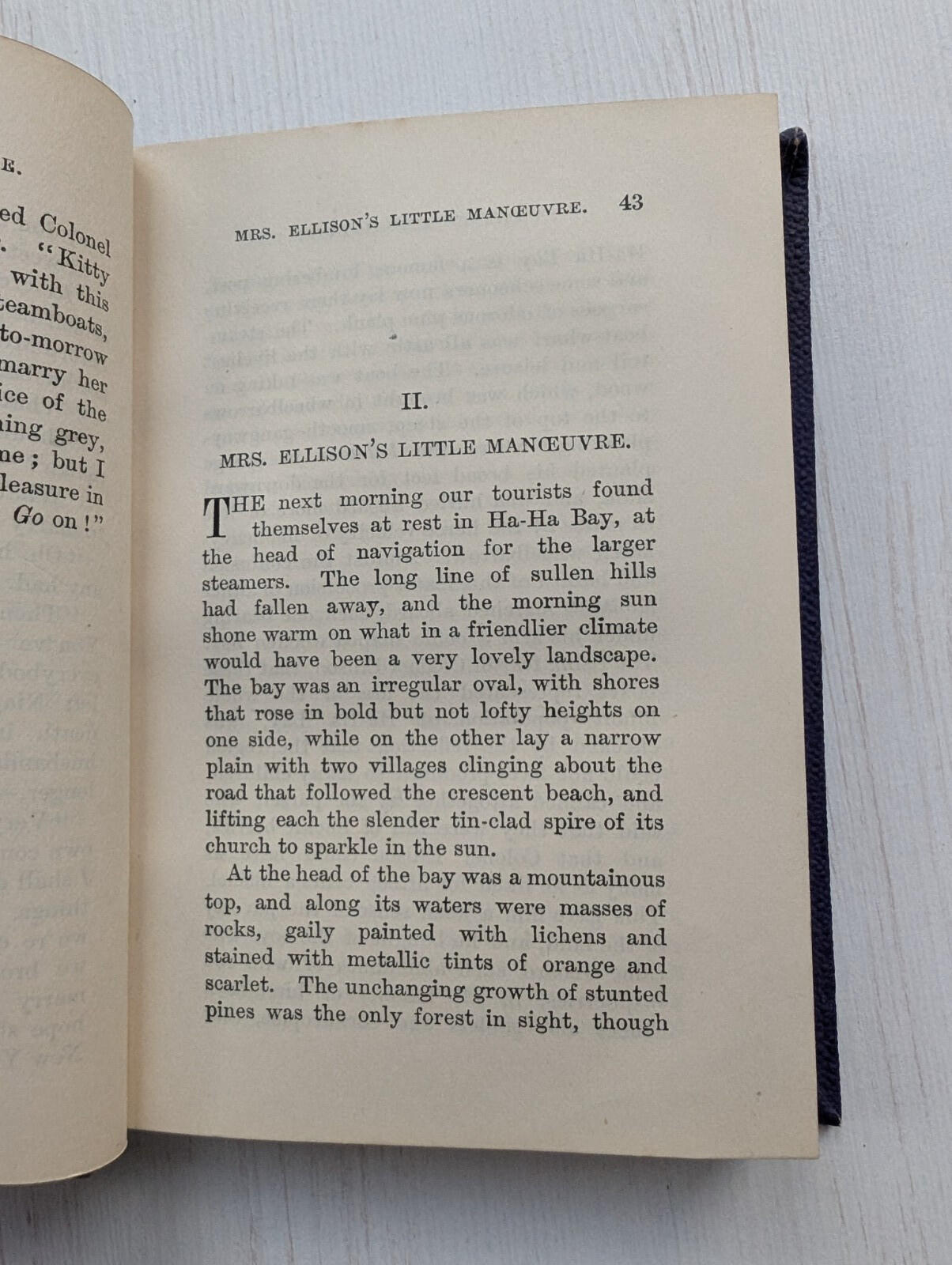 A Chance Acquaintance by William D. Howells - 1882 - Edinburgh University Press